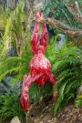 predatorsnew (8)